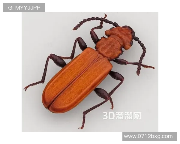 探索天牛图库3D红五图库的精彩世界与独特魅力，尽享视觉盛宴与创意灵感